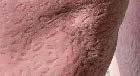 24_Extension Impact Report_Grain_Bin_Safety_pock_marks.jpg